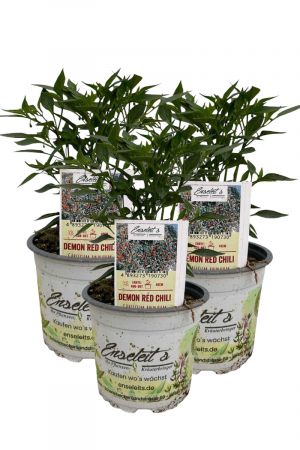 3er Set Demon Red Chili Chilipflanzen aus kontrolliertem Anbau