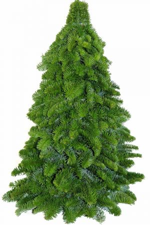 Handgesteckter Tannenbaum 60cm hoch, Abies, Echte Nordmanntanne, Nobilistanne 