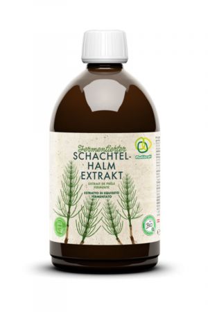 Multikraft Fermentierter Schachtelhalm Extrakt