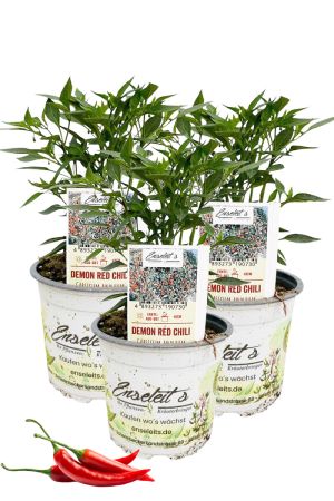 3er Set Demon Red Chili Chilipflanzen aus kontrolliertem Anbau