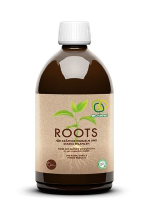 Multikraft Roots
